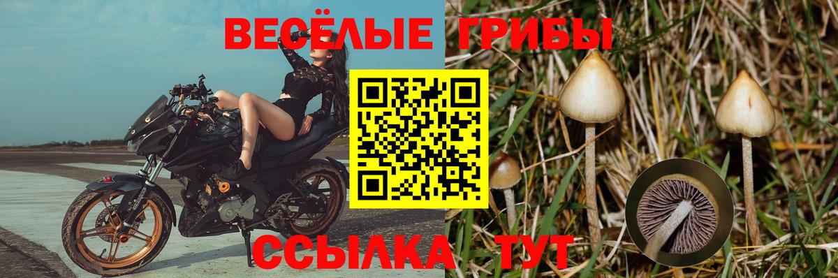 Галлюциногенные грибы ЛСД  Галлюциногенные грибы мицелий  Асино  наркота  Вход с VPN 